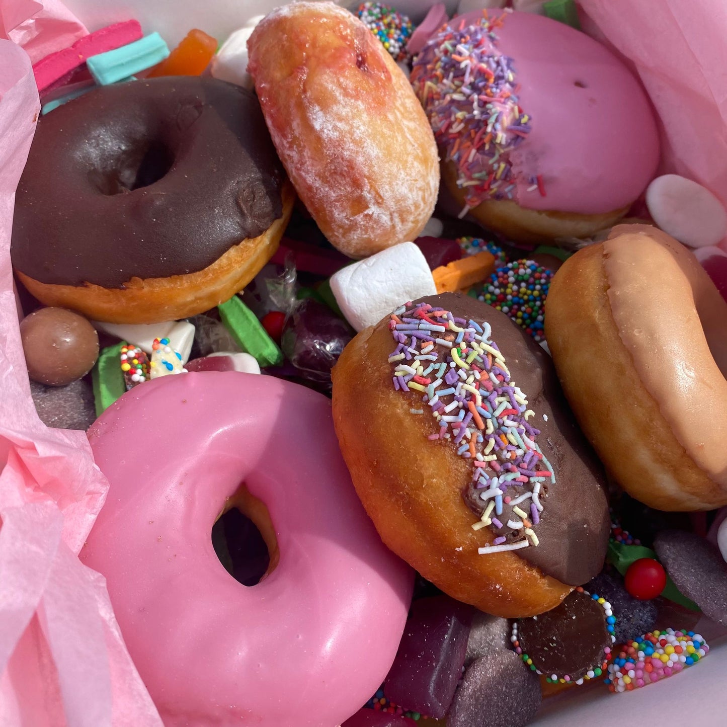 The Classic Donut Box